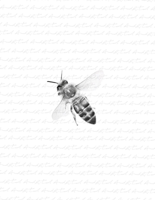 PRINT of Honey Bee 2 - Image 5