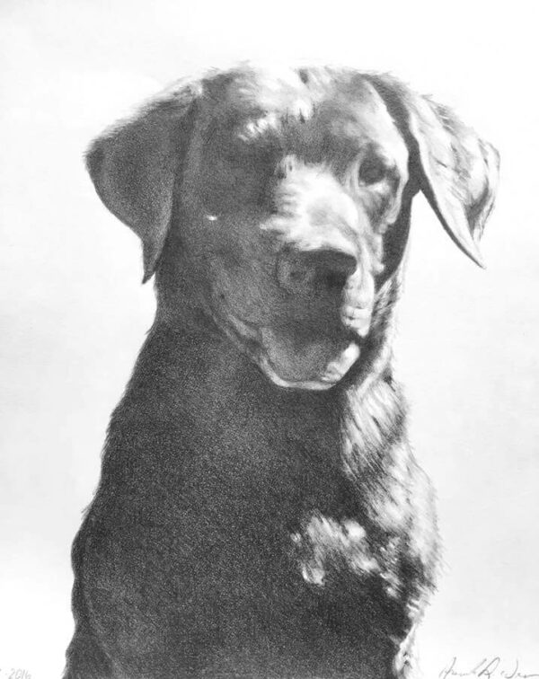 8"x10" Custom Portrait - Image 9