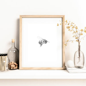 PRINT of Honey Bee 1
