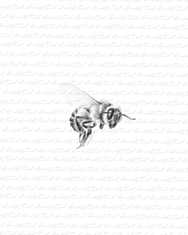 PRINT of Honey Bee 1 - Image 6