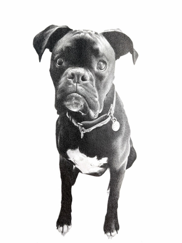 8"x10" Custom Portrait - Image 8