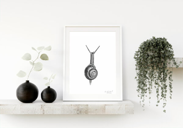 Snail Original Drawing - Image 3