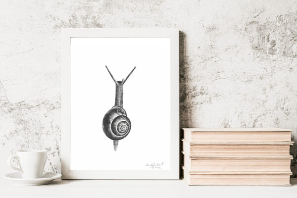 Snail Original Drawing - Image 2