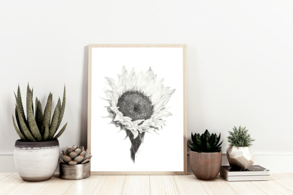 PRINT of a Sunflower - Image 2