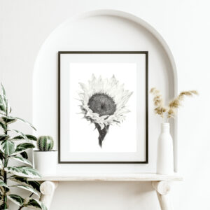 PRINT of a Sunflower