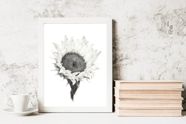 PRINT of a Sunflower - Image 3